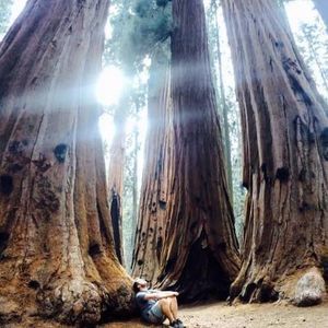 Meet your Posher, Elliott